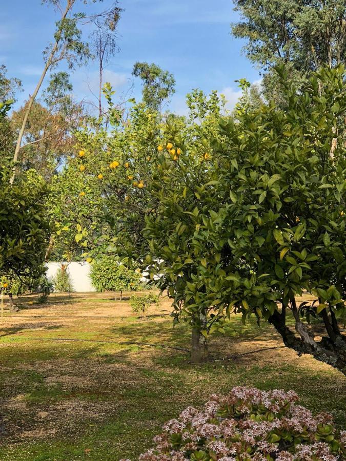 Quinta Verde Albufeira Buitenkant foto
